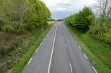 Image result for roadside trees