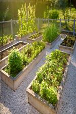 Image result for kitchen garden