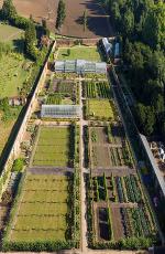 Image result for kitchen garden